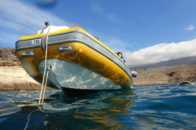 Tenerife Turtle and Snorkel Tour from Costa Adeje - Is $57.67 fair for three hours?
