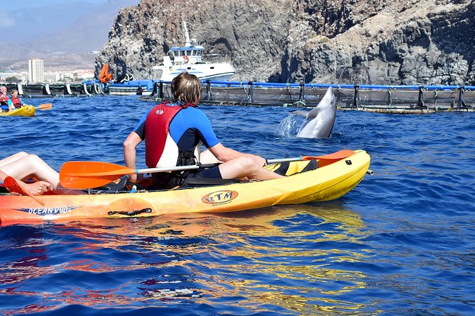 Tenerife: Turtle & Dolphin Kayak Tour with Snorkel & Wetsuit - The snorkeling stop and what to expect underwater