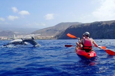 Turtle & Dolphin Kayak Tour with Snorkel & Wetsuit