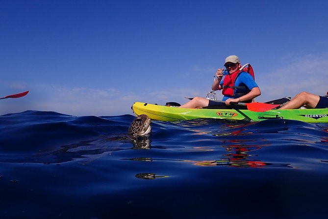 Tenerife: Turtle & Dolphin Kayak Tour with Snorkel & Wetsuit - How demanding is the three-hour outing?
