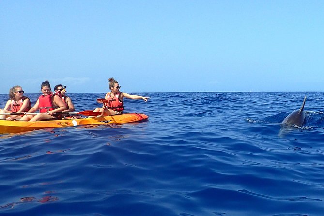 Tenerife: Turtle & Dolphin Kayak Tour with Snorkel & Wetsuit - Guides make a big difference