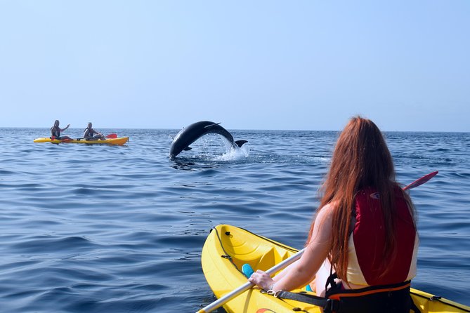 Tenerife: Turtle & Dolphin Kayak Tour with Snorkel & Wetsuit - Timing, equipment, and practical preparation