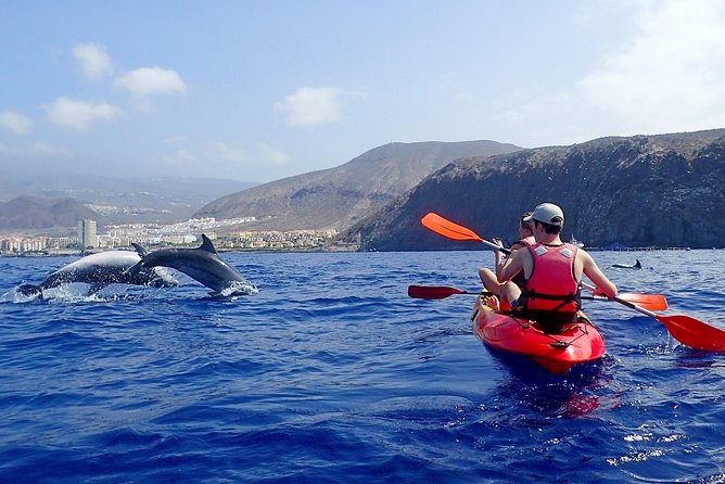 Tenerife: Turtle & Dolphin Kayak Tour with Snorkel & Wetsuit - Watching dolphins in their natural environment