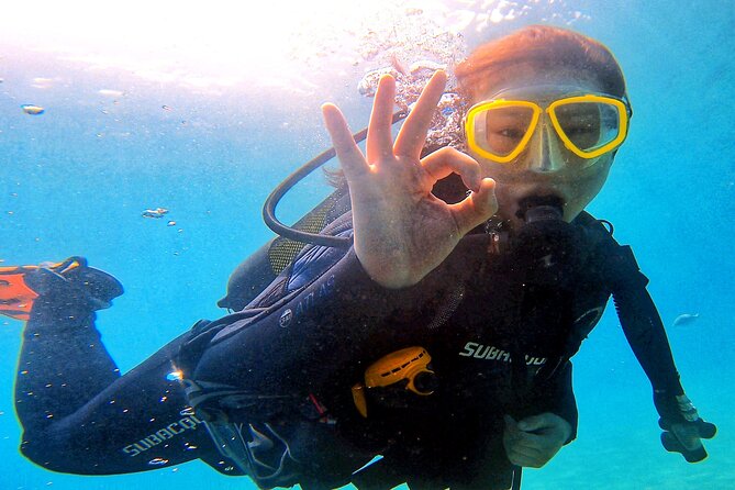 Tenerife Under The Sea - dive into 1-1 personalised experience - What you may see below the surface