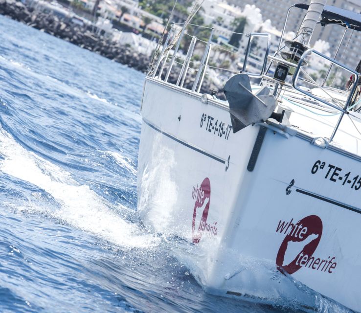 Tenerife: Whale and Dolphin Watching Tour by Sailboat - Swimming and snorkeling near the coast