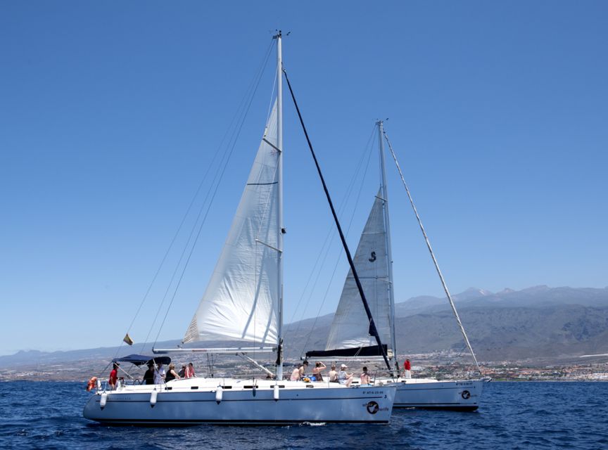 Tenerife: Whale and Dolphin Watching Tour by Sailboat - Should you book the White Tenerife sailing trip?
