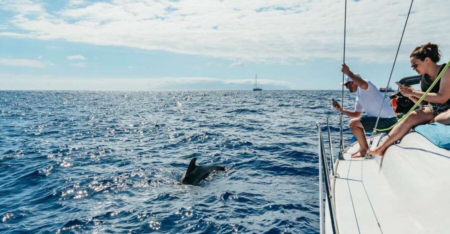 Tenerife: Whale & Dolphin Watching with Drinks and Snacks - Why a small yacht changes the experience