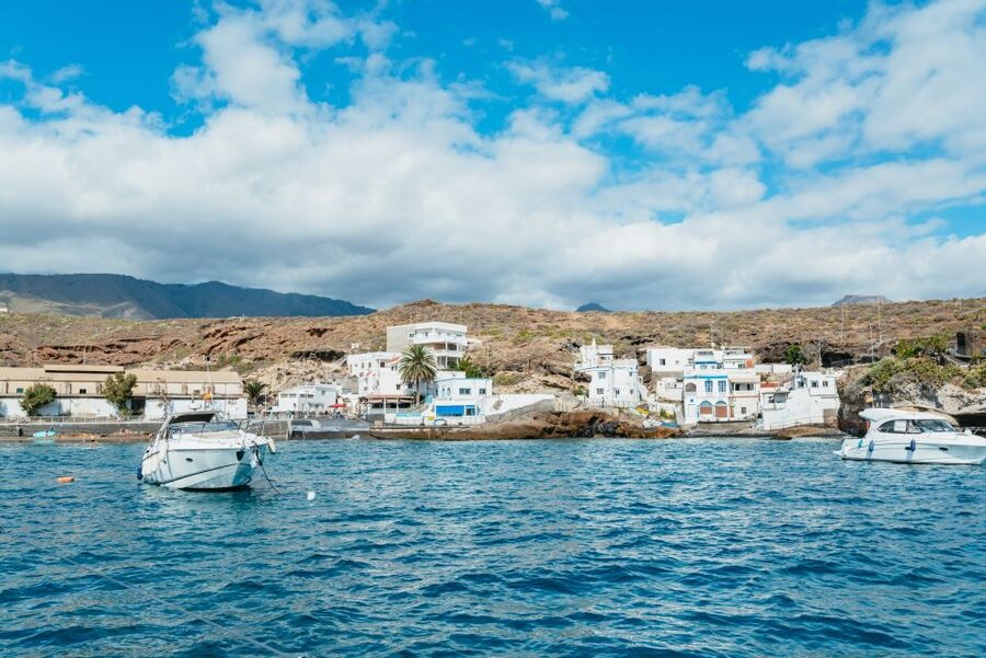 Tenerife: Whale & Dolphin Watching with Drinks and Snacks - A quiet bay for swimming and snorkeling