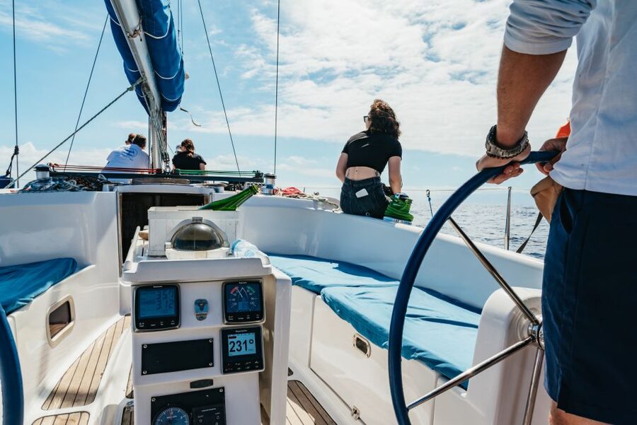 Tenerife: Whale & Dolphin Watching with Drinks and Snacks - What is served on board