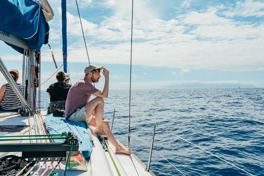 Tenerife: Whale & Dolphin Watching with Drinks and Snacks - How the crew handles comfort and safety