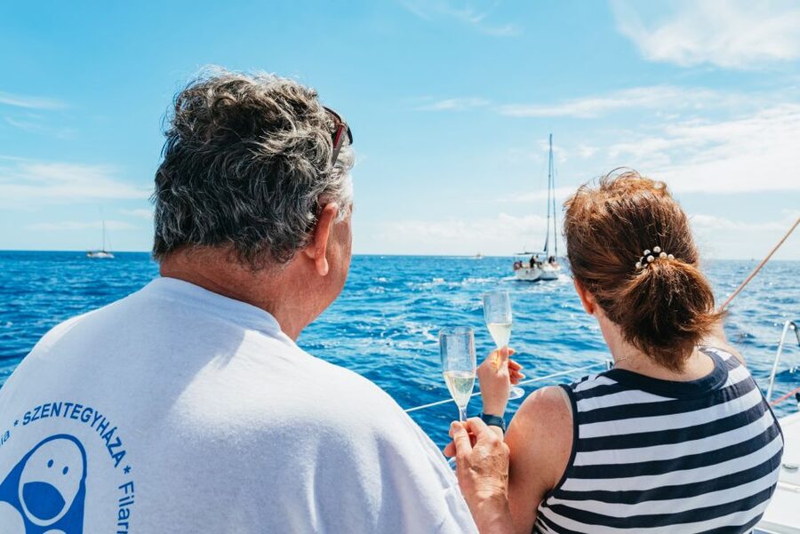 Tenerife: Whale & Dolphin Watching with Drinks and Snacks - Who will enjoy this Tenerife boat trip