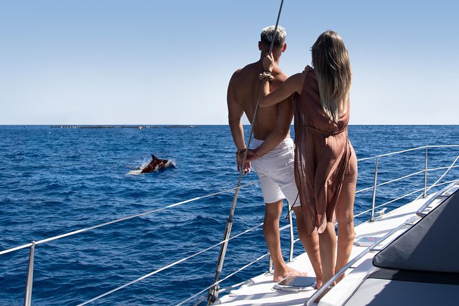 Tenerife Whale watching on private charter - Sailing From Puerto Colón Into Tenerife’s Whale Country