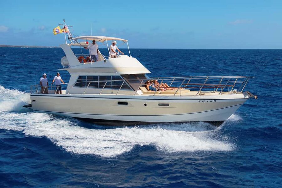 Tenerife: Whale watching tour with swim and lunch on yacht for 22 passengers - Key points before you book