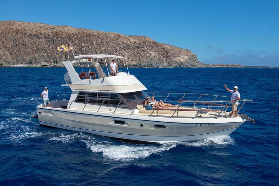 Tenerife: Whale watching tour with swim and lunch on yacht for 22 passengers - Why Tenerife’s west coast is good for whale watching