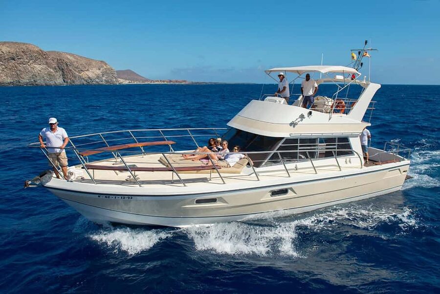 Tenerife: Whale watching tour with swim and lunch on yacht for 22 passengers - The whale search lasts about 90 minutes