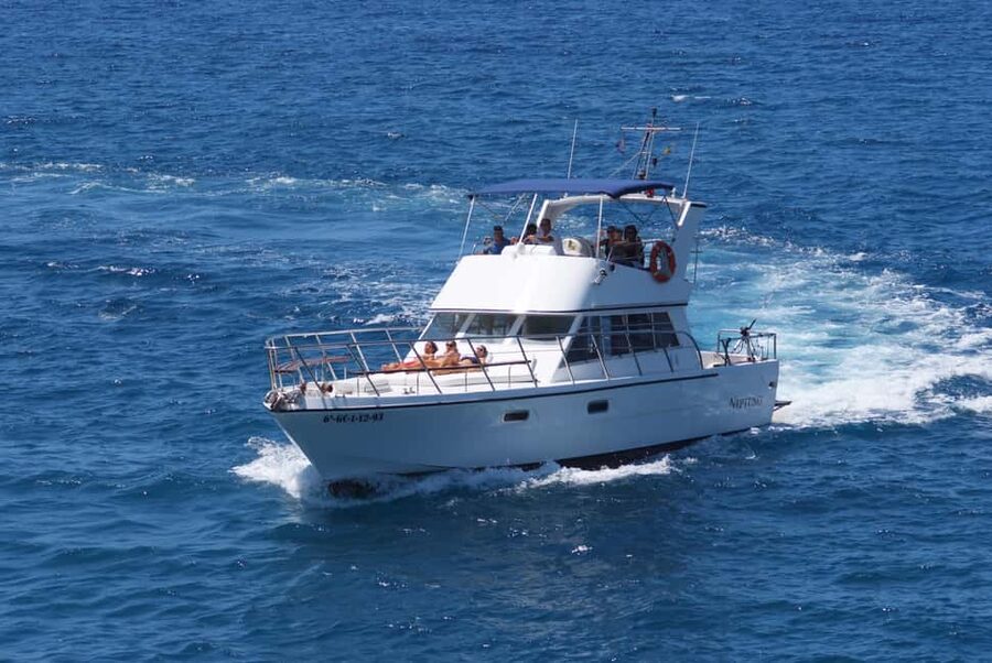 Tenerife: Whale watching tour with swim and lunch on yacht for 22 passengers - Cliffs, the Cave of Love, and a swim stop
