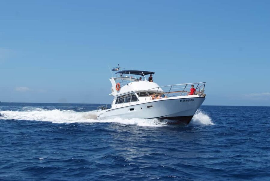 Tenerife: Whale watching tour with swim and lunch on yacht for 22 passengers - Practical details that can make the day easier
