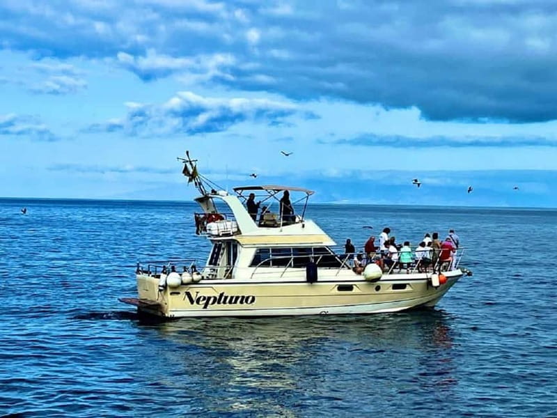 Tenerife: Whale watching tour with swim and lunch on yacht for 22 passengers - Setting out from Los Cristianos on the Neptuno