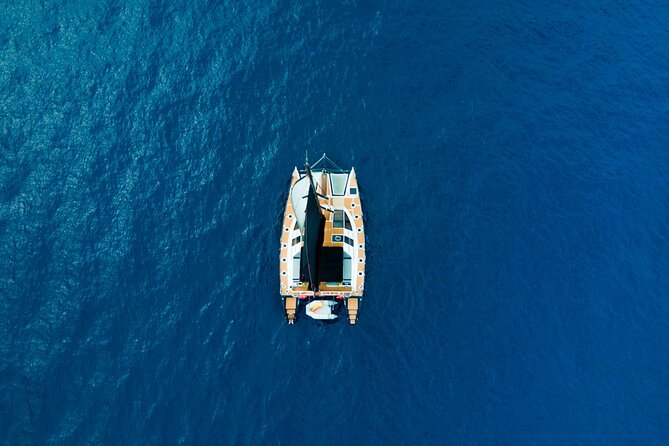 Tenerife Whales and Dolphins Watching Experience in Catamaran - Swimming and snorkeling near Tenerife’s south coast