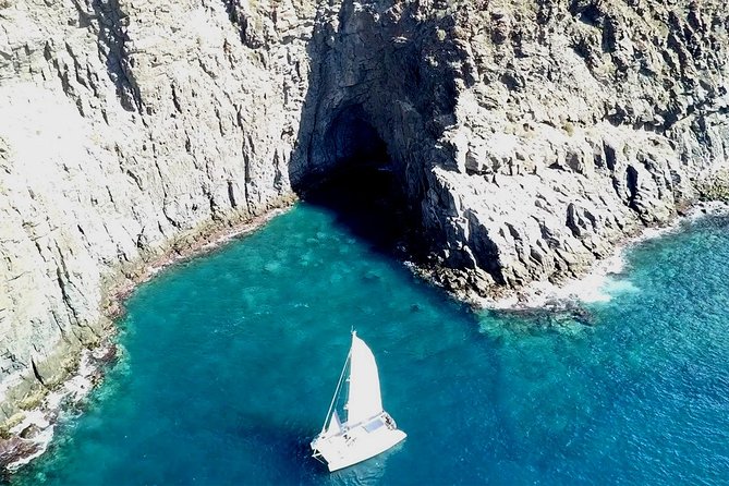 Tenerife Whales and Dolphins Watching Experience in Catamaran - How much value do you get for $68.98?