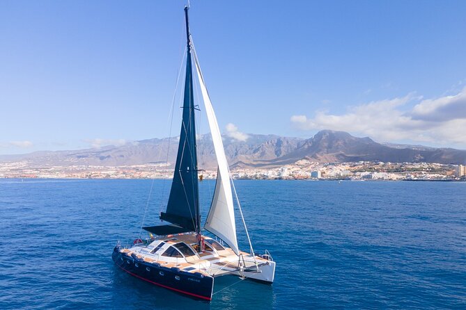 Tenerife Whales and Dolphins Watching Experience in Catamaran - Practical details before you book
