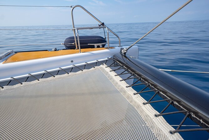 Tenerife Whales and Dolphins Watching Experience in Catamaran - Should you book White Tenerife?