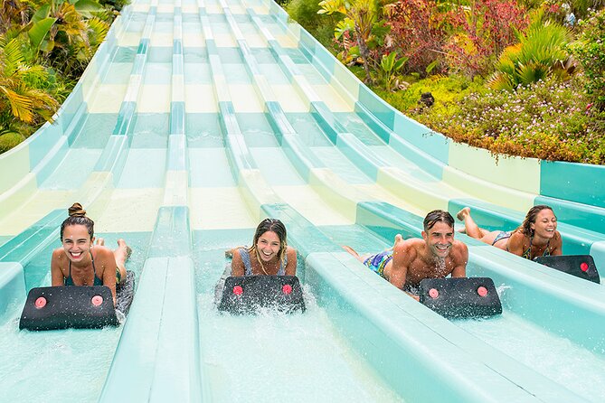 Ticket to Aqualand Tenerife - The dolphin show adds a welcome change of pace
