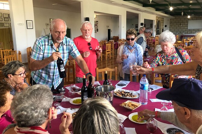 Tour Visiting banana plantation and winery in Tenerife - From banana leaves to mountain grapes