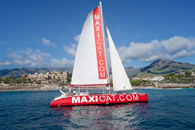 Tour with Whale and Dolphin Watching plus food included - Key points at a glance