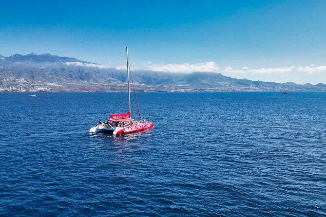 Tour with Whale and Dolphin Watching plus food included - What the protected coast adds to the trip