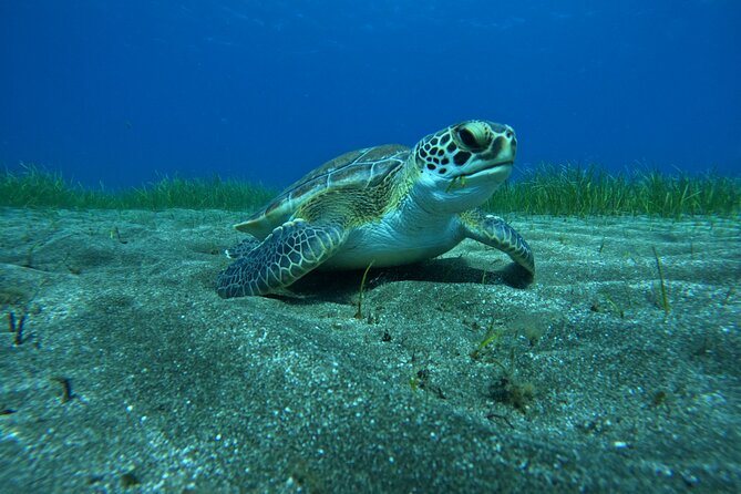 Try Dive in Abades Bay with a private instructor - Getting fitted with wetsuit and equipment