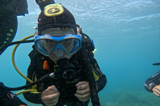 Try Dive in Abades Bay with a private instructor - What the $98.40 price includes