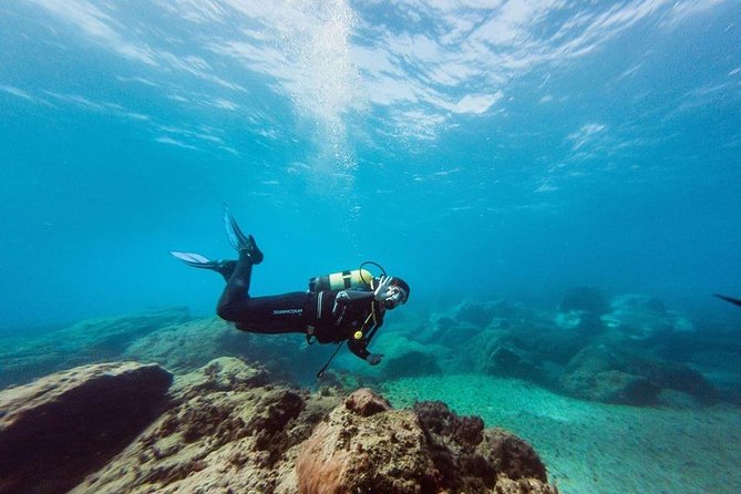 Try Dive in Tenerife - Timing, weather, and cancellation details
