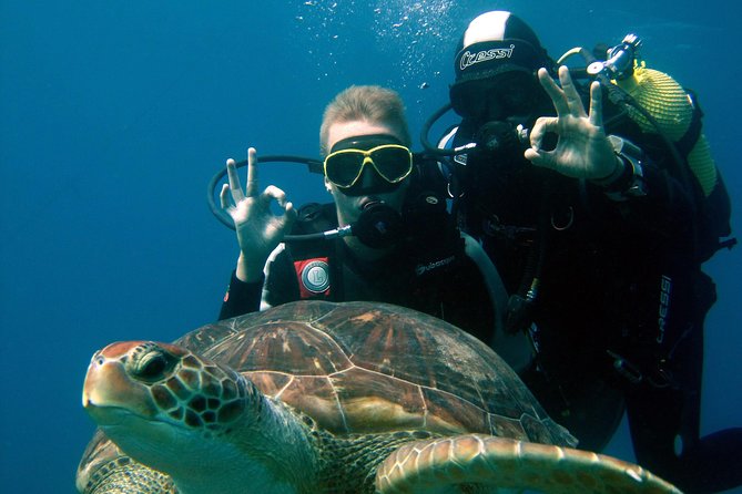 Try Scuba Diving in a turtle area (boat) - Key points at a glance