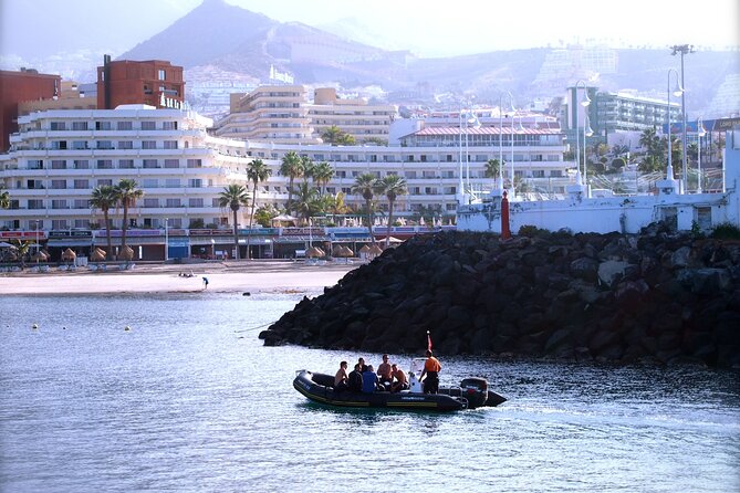Try Scuba Diving in a turtle area (boat) - Timing, weather, and sensible planning