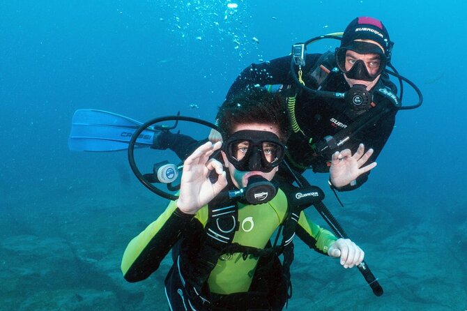 Try Scuba Diving in a turtle area (boat) - What happens at the Zero Gravity meeting point