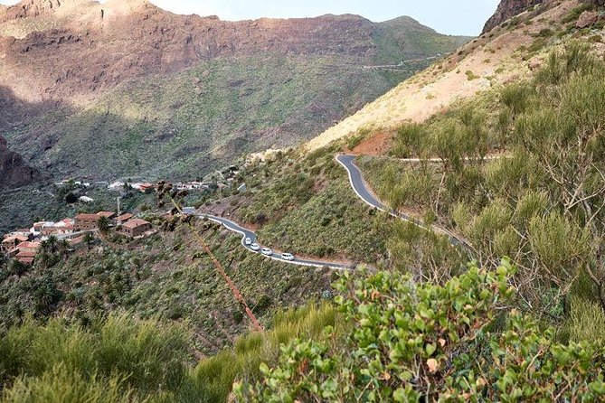 VIP Grand Tour Isla de Tenerife from South Tenerife - La Orotava and lunch in a historic home