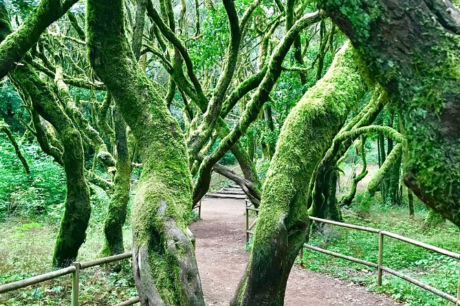 VIP tour of La Gomera from Tenerife - From San Sebastián to the volcanic Roque de Agando