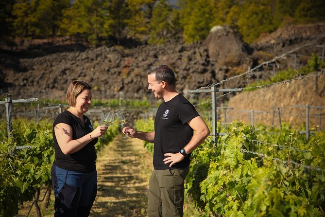 Visit to Arafo Mountain Vineyard and Organic Wine Tasting - Key points to know before booking