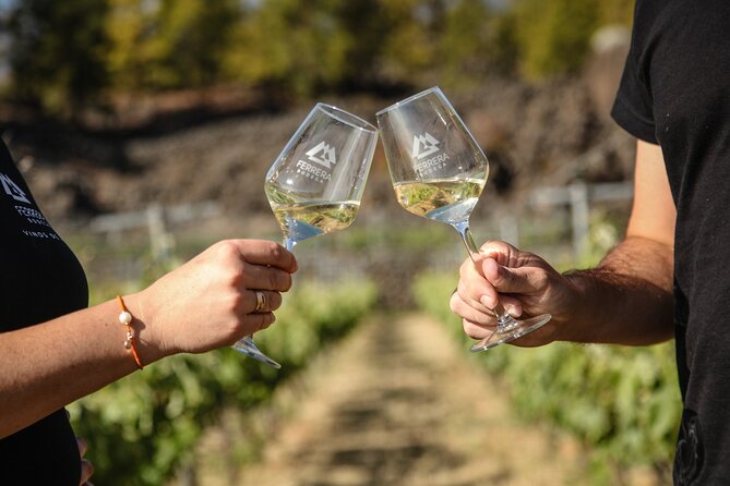 Visit to Arafo Mountain Vineyard and Organic Wine Tasting - Walking through volcanic ground at nearly 1,000 meters