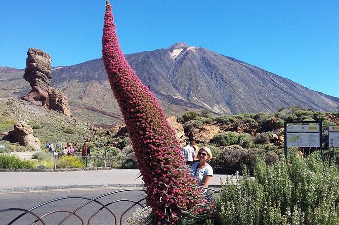 Volcano Teide - Masca ravine. Guided Tour from Puerto de la Cruz - Tenerife - A full day from Puerto de la Cruz to volcanic Tenerife