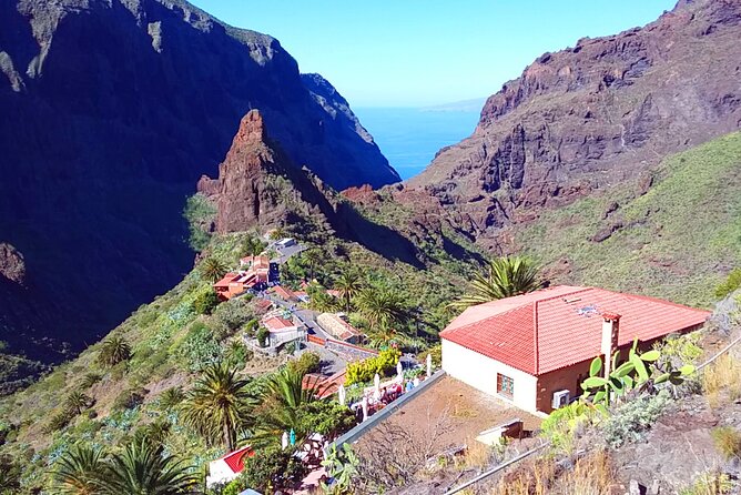 Volcano Teide - Masca ravine. Guided Tour from Puerto de la Cruz - Tenerife - Icod de los Vinos and El Drago Milenario