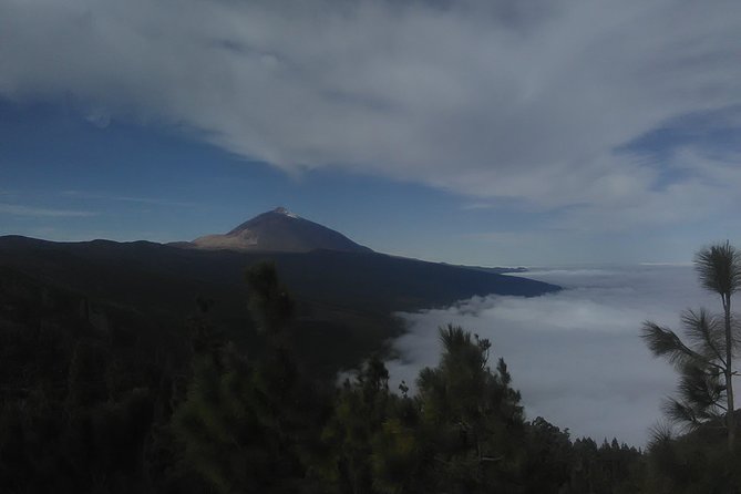 Volcano Teide National Park And North Of The Island VIP TOUR - Why this Tenerife day trip works so well