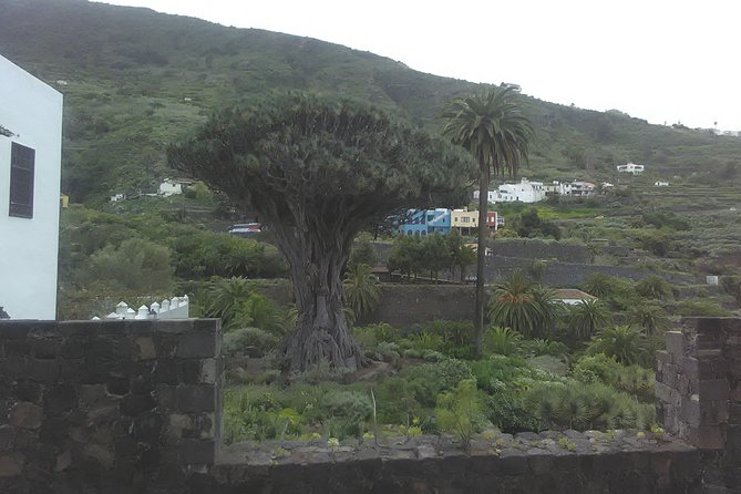 Volcano Teide National Park And North Of The Island VIP TOUR - La Laguna, Tenerife’s thoughtful opening chapter