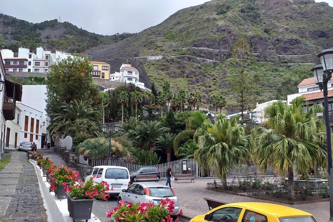 Volcano Teide National Park And North Of The Island VIP TOUR - Chinyero Volcano and Tenerife’s volcanic memory