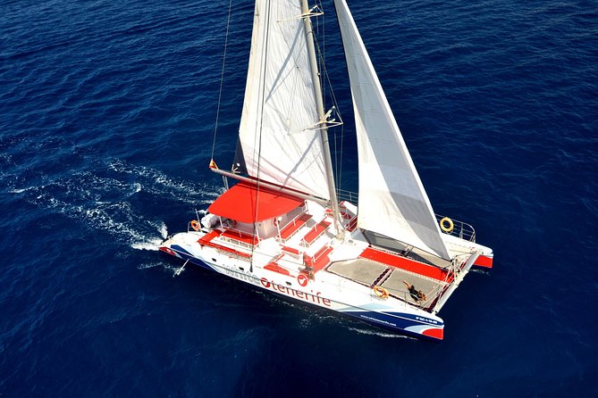 Watching and Listening Whales visiting Los Gigantes&Masca. Food&drinks included - Key points to know before booking
