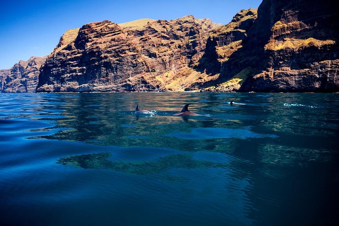 Watching and Listening Whales visiting Los Gigantes&Masca. Food&drinks included - Sailing beneath the Los Gigantes cliffs