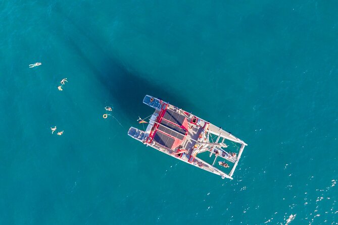 Watching and Listening Whales visiting Los Gigantes&Masca. Food&drinks included - Is the $68.61 price good value?