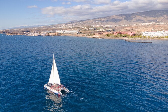 Watching and Listening Whales visiting Los Gigantes&Masca. Food&drinks included - Who will enjoy this catamaran most?