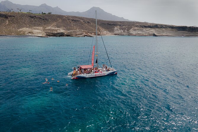 Watching and Listening Whales visiting Los Gigantes&Masca. Food&drinks included - Watching dolphins and pilot whales in open water
